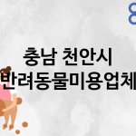 충남 천안시 반려동물미용 추천 TOP 5