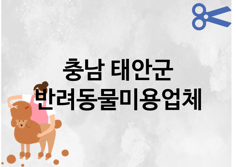 충남 태안군 반려동물미용 추천 TOP 1