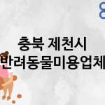 충북 제천시 반려동물미용 업체 추천 5