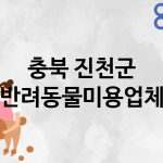 충북 진천군 반려동물미용 업체 추천 2