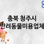충북 청주시 반려동물미용 추천 TOP 5
