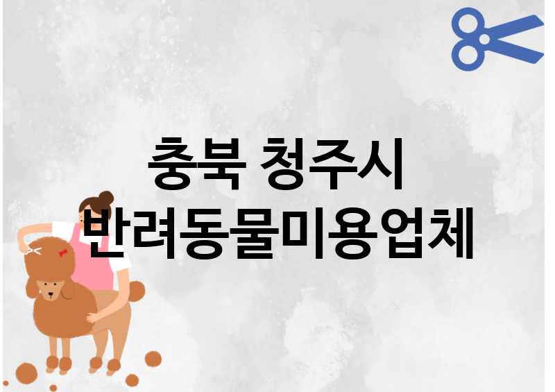 충북 청주시 반려동물미용 추천 TOP 5