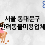 서울 동대문구 반려동물미용 업체 추천 4