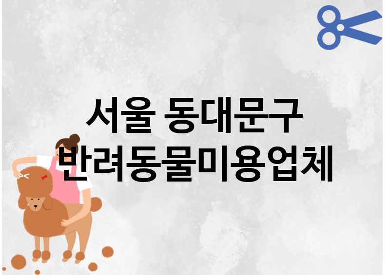 서울 동대문구 반려동물미용 업체 추천 4