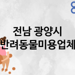 전남 광양시 반려동물미용 추천 TOP 1