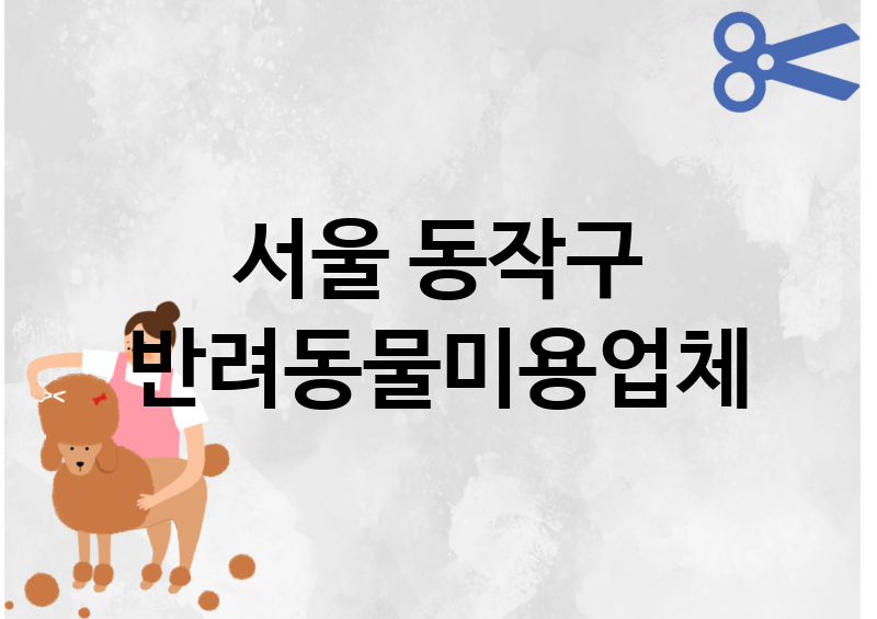 서울 동작구 반려동물미용 추천 TOP 4