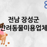 전남 장성군 반려동물미용 추천 TOP 4