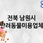 전북 남원시 반려동물미용 추천 TOP 1
