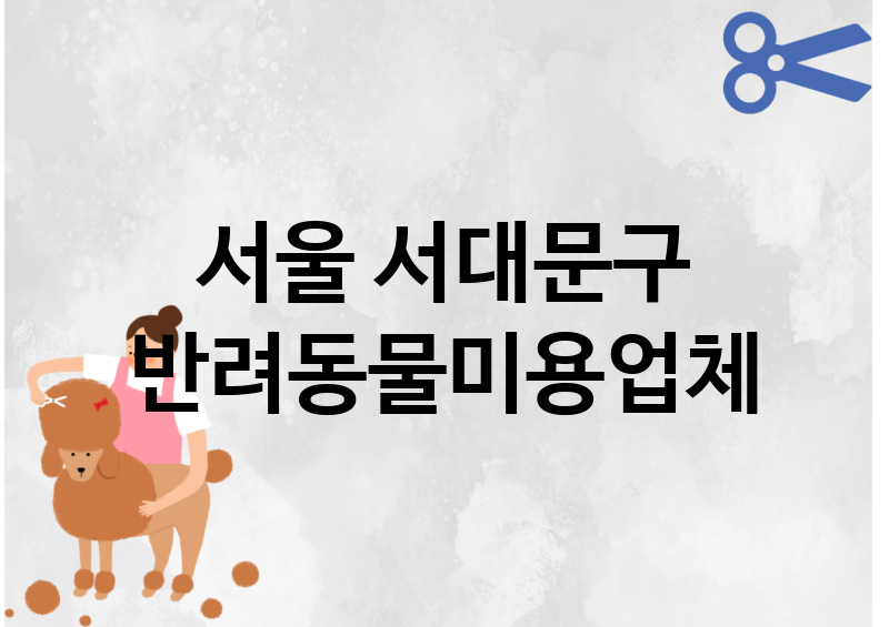 서울 서대문구 반려동물미용 업체 추천 4