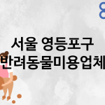서울 영등포구 반려동물미용 업체 추천 4