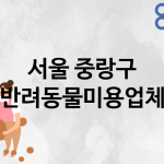 서울 중랑구 반려동물미용 업체 추천 5