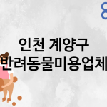 인천 계양구 반려동물미용 추천 TOP 4