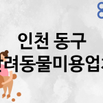 인천 동구 반려동물미용 추천 TOP 1