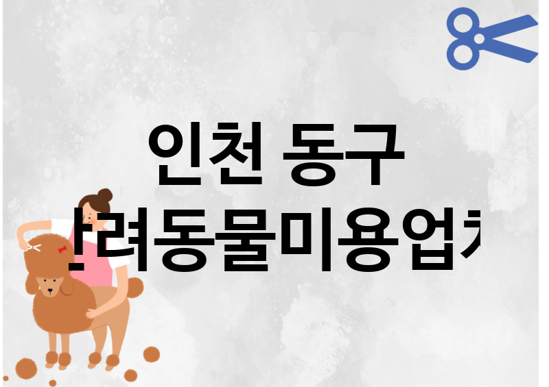 인천 동구 반려동물미용 추천 TOP 1