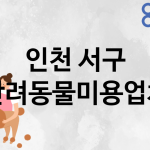 인천 서구 반려동물미용 추천 TOP 5