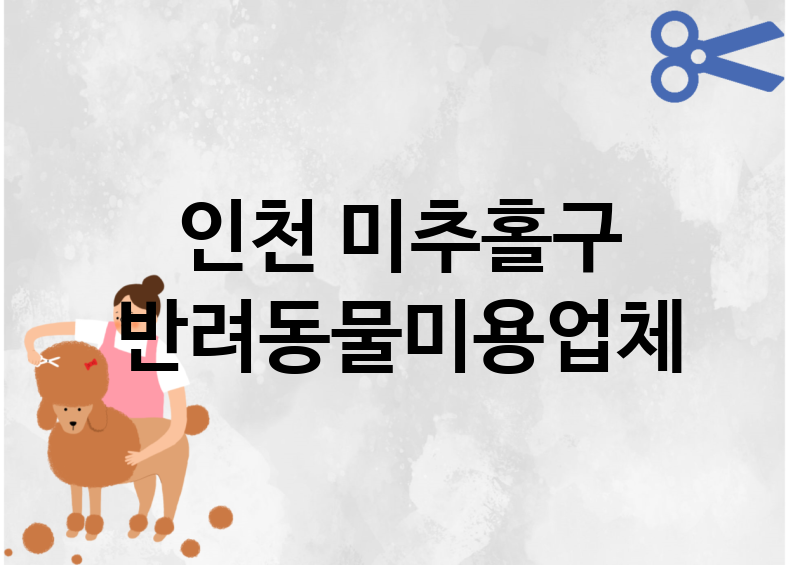 인천 미추홀구 반려동물미용 추천 TOP 4