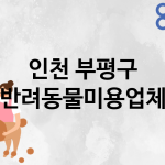 인천 부평구 반려동물미용 업체 추천 5