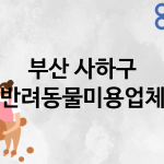부산 사하구 반려동물미용 추천 TOP 3