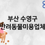 부산 수영구 반려동물미용 추천 TOP 4