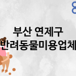 부산 연제구 반려동물미용 추천 TOP 5