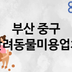 부산 중구 반려동물미용 업체 추천 2