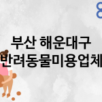 부산 해운대구 반려동물미용 추천 TOP 5