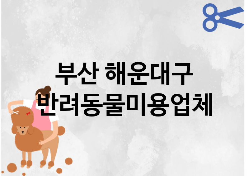 부산 해운대구 반려동물미용 추천 TOP 5