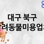 대구 북구 반려동물미용 업체 추천 0