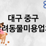 대구 중구 반려동물미용 업체 추천 4