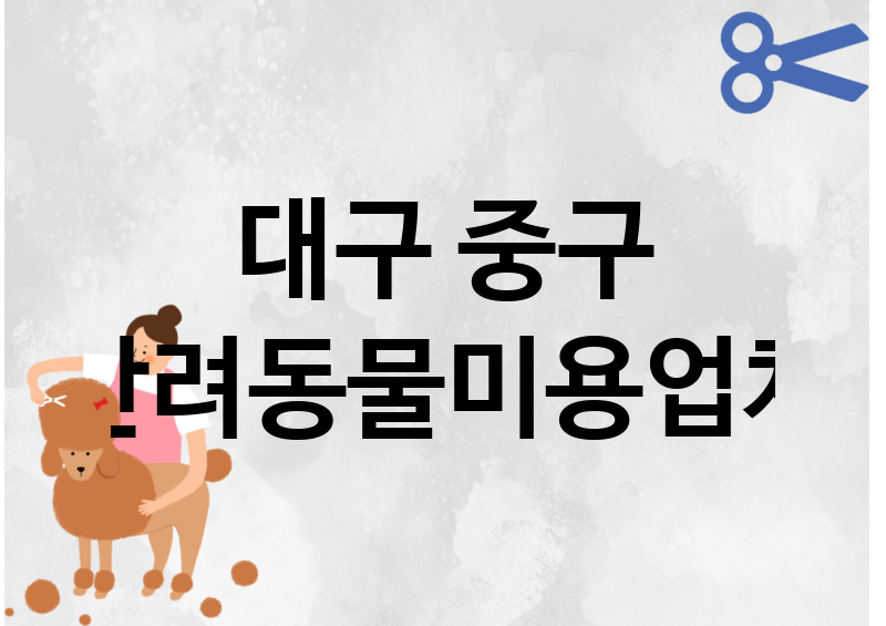대구 중구 반려동물미용 업체 추천 4