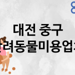 대전 중구 반려동물미용 업체 추천 5