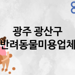 광주 광산구 반려동물미용 추천 TOP 1