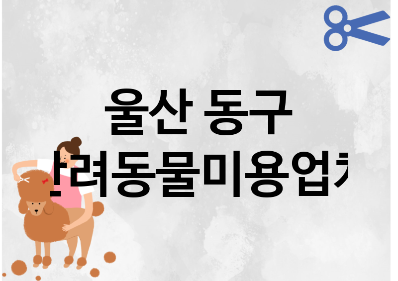 울산 동구 반려동물미용 업체 추천 5
