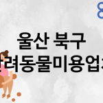 울산 북구 반려동물미용 업체 추천 2