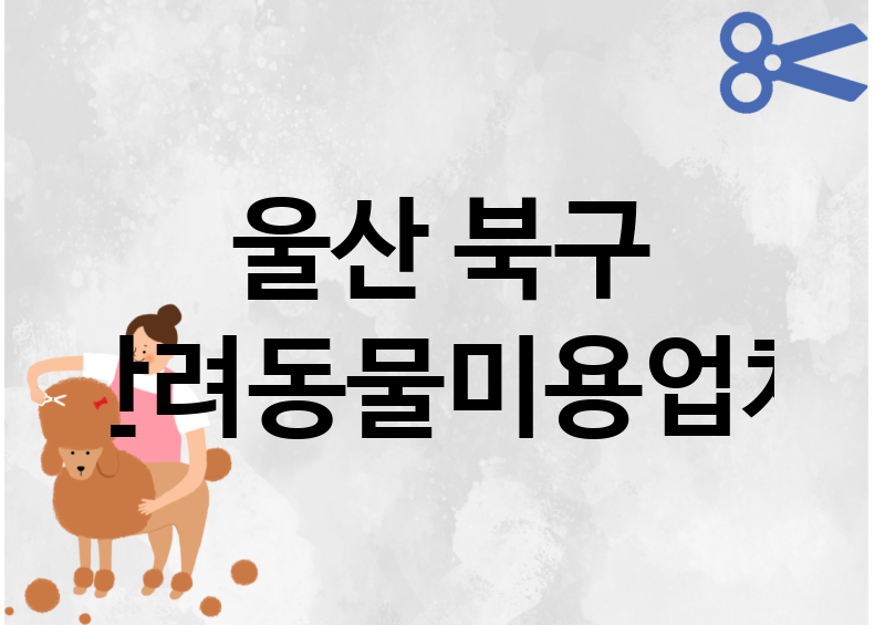 울산 북구 반려동물미용 업체 추천 2