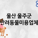 울산 울주군 반려동물미용 업체 추천 0