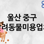 울산 중구 반려동물미용 업체 추천 5
