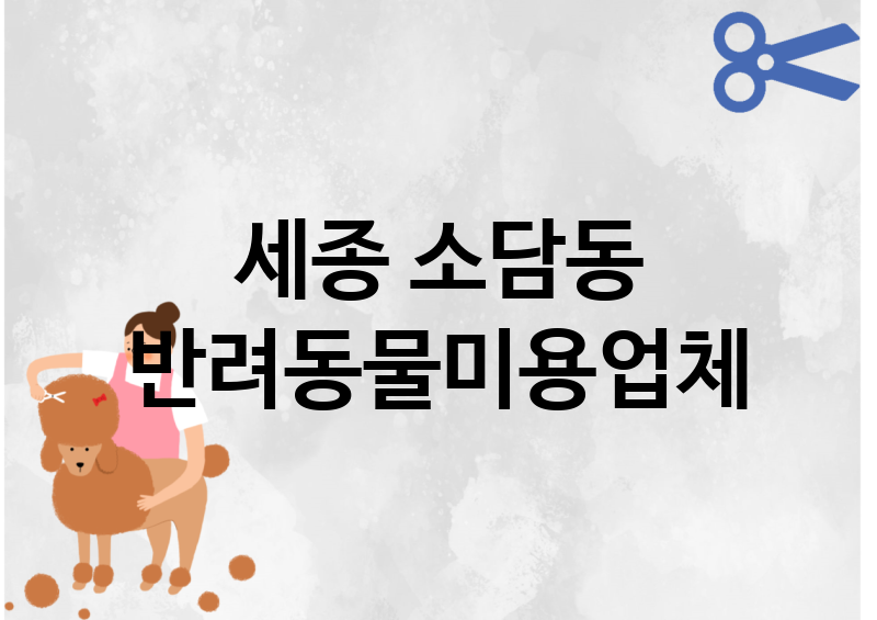 세종 소담동 반려동물미용 추천 TOP 3