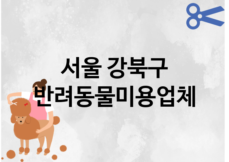 서울 강북구 반려동물미용 추천 TOP 1