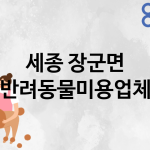 세종 장군면 반려동물미용 추천 TOP 1