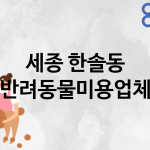 세종 한솔동 반려동물미용 추천 TOP 0
