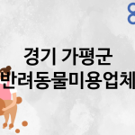 경기 가평군 반려동물미용 추천 TOP 2