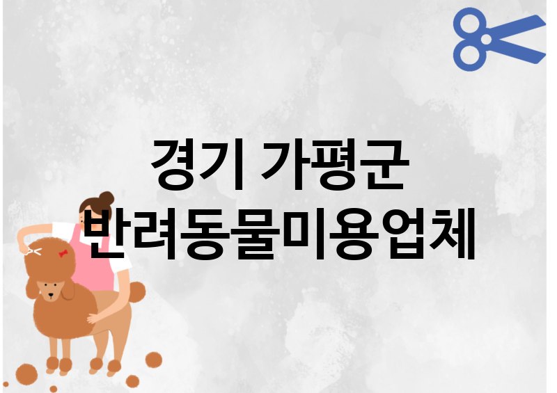 경기 가평군 반려동물미용 추천 TOP 2
