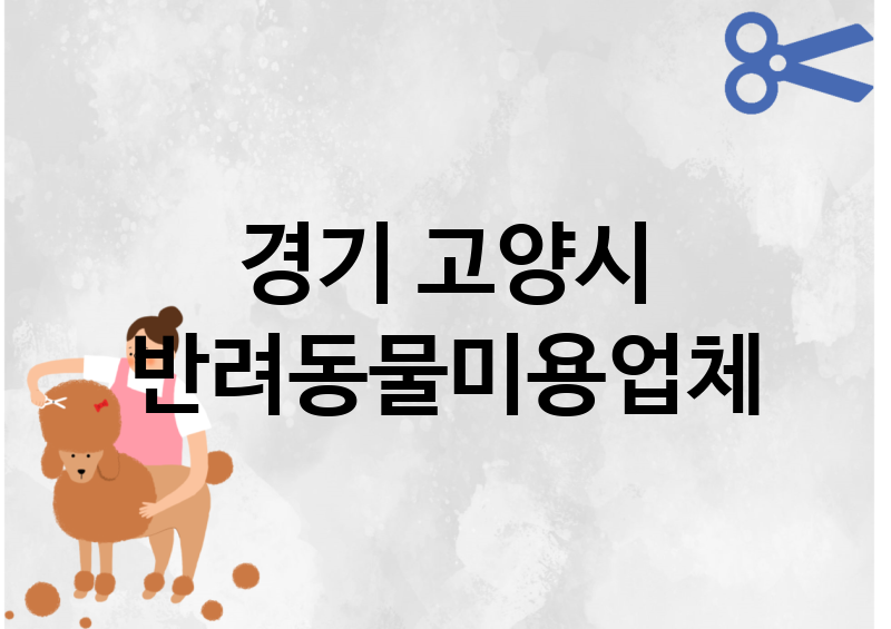 경기 고양시 반려동물미용 업체 추천 5