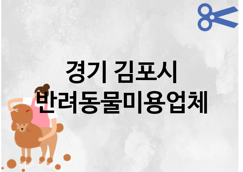 경기 김포시 반려동물미용 추천 TOP 5