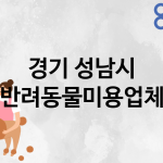 경기 성남시 반려동물미용 업체 추천 5