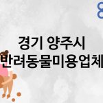 경기 양주시 반려동물미용 업체 추천 1