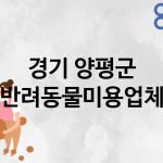 경기 양평군 반려동물미용 추천 TOP 4