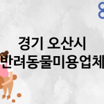 경기 오산시 반려동물미용 업체 추천 3