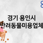 경기 용인시 반려동물미용 업체 추천 5